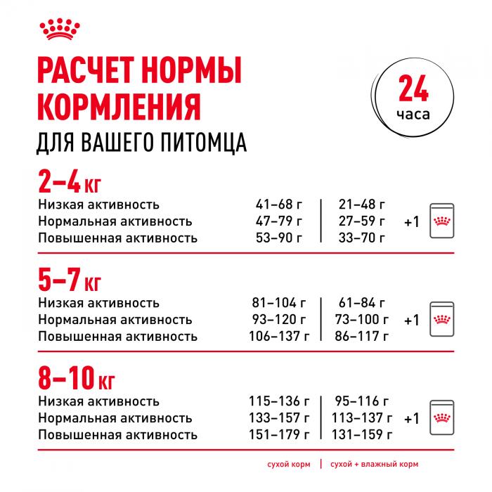 Royal Canin корм для взрослых собак породы Померанский Шпиц