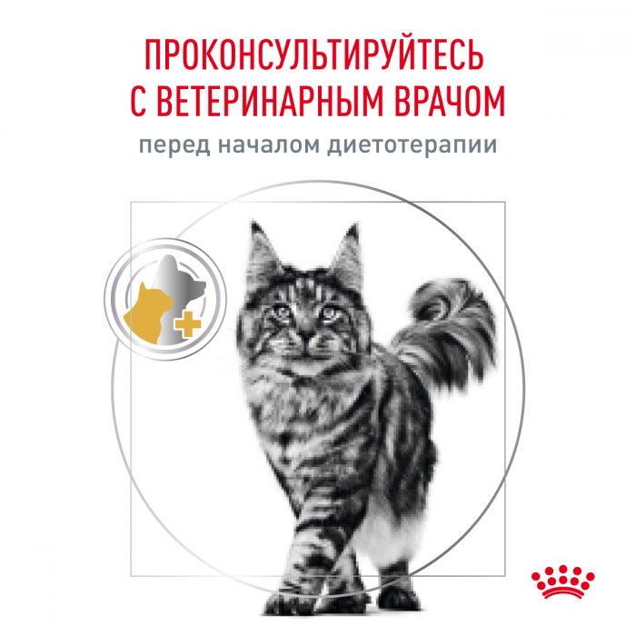 Royal Canin корм для взрослых и пожилых кошек, лечение и профилактика МКБ