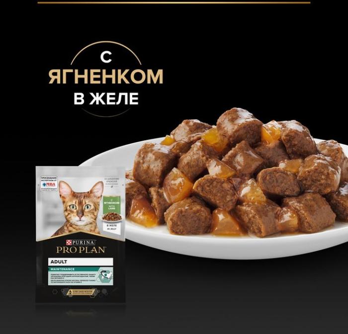 Влажный корм Pro Plan® Maintenance для взрослых кошек, с ягненком в желе