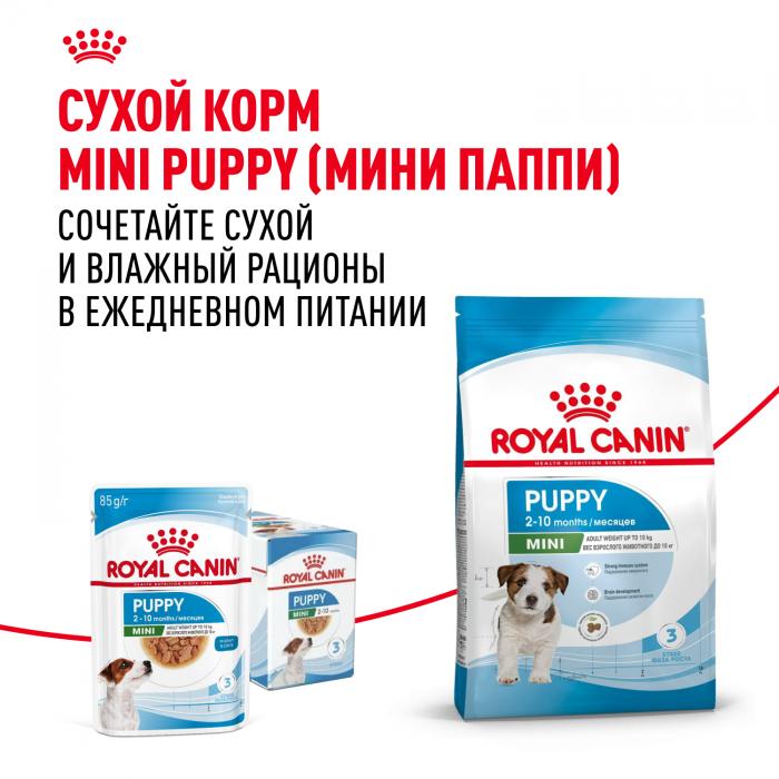 Royal Canin Mini Puppy влажный корм для щенков малых пород с 2 до 10 месяцев