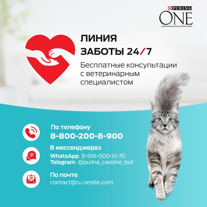 Влажный корм Purina ONE® для кошек с чувствительным пищеварением, с курицей и морковью