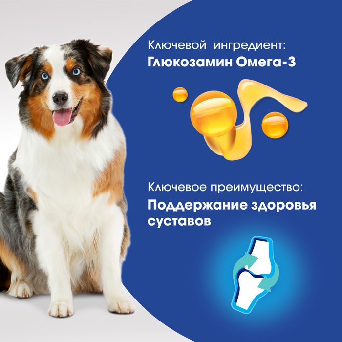Perfect Fit Joints Care лакомство для собак для суставов, говядина, рыбий жир, глюкозамин
