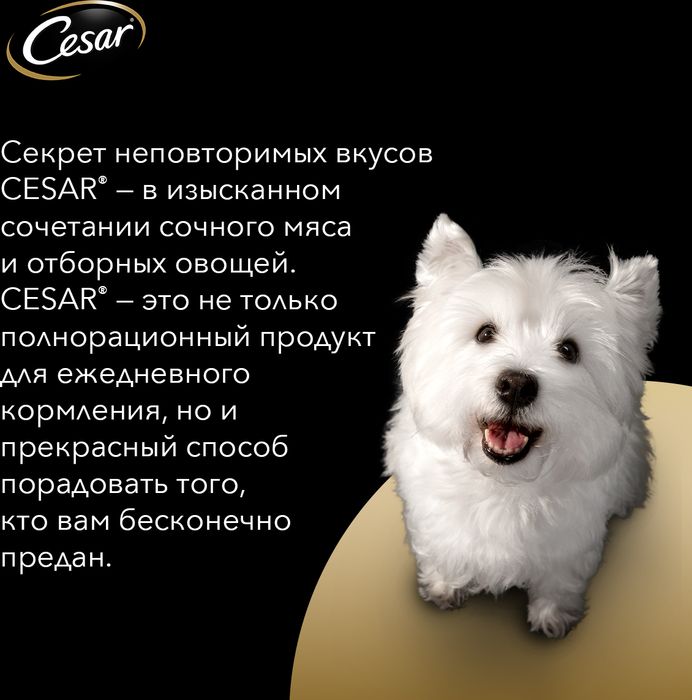 Cesar влажный корм для собак с говядиной в сливочном соусе