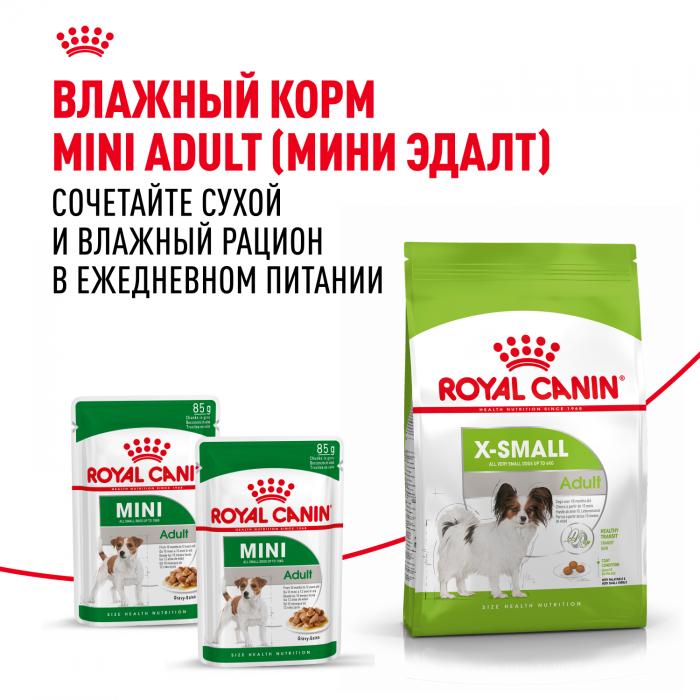 Royal Canin X-Small Adult сухой корм для собак миниатюрных пород