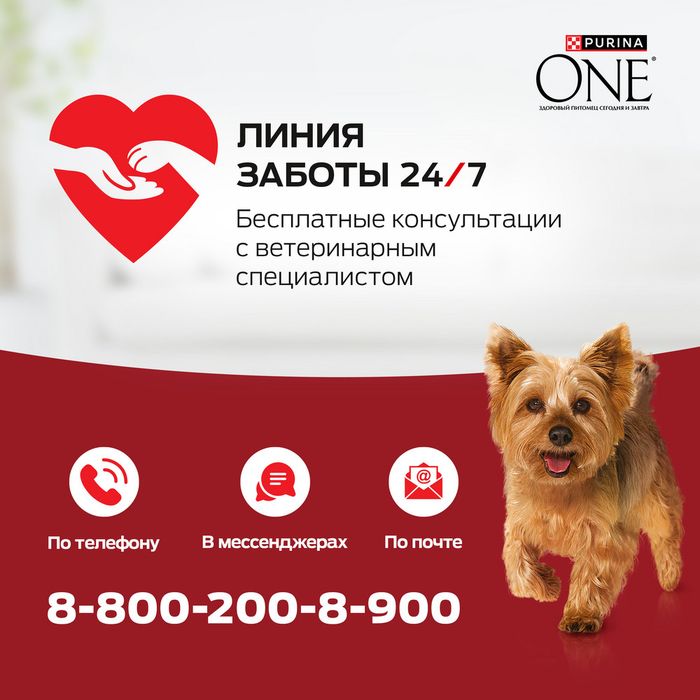 Сухой корм Purina ONE® МИНИ Здоровый вес для собак мелких пород, склонных к набору веса, с высоким содержанием индейки и с рисом