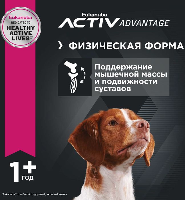Eukanuba Adult Medium Breed сухой корм для собак средних пород с курицей