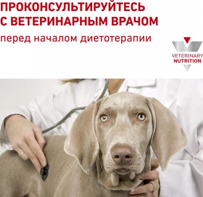 Royal Canin Urinary S/O лечебный сухой корм для собак при заболеваниях мочевыделительной системы
