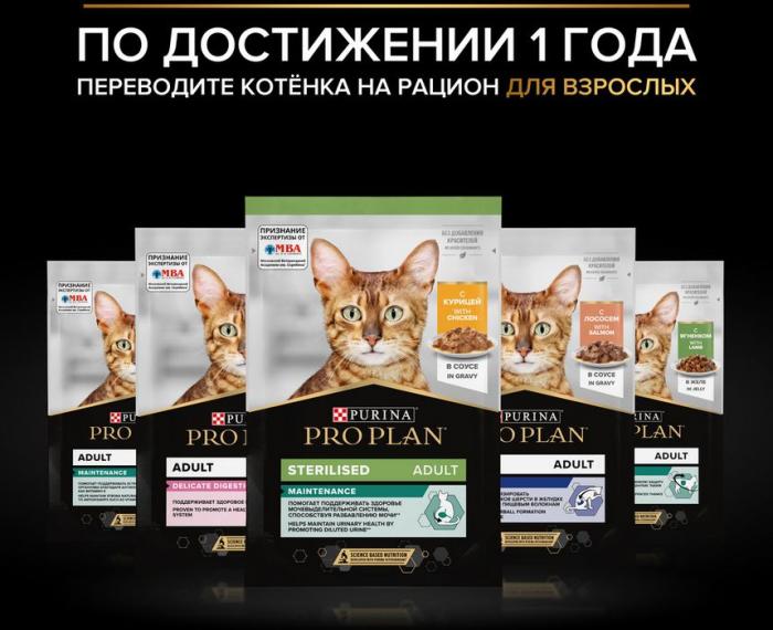 Влажный корм Pro Plan® Healthy Start для котят, с говядиной в соусе