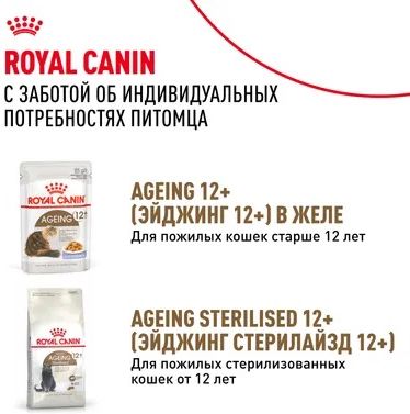 Royal Canin Ageing 12+ влажный корм для пожилых кошек всех пород, мелкие кусочки в соусе