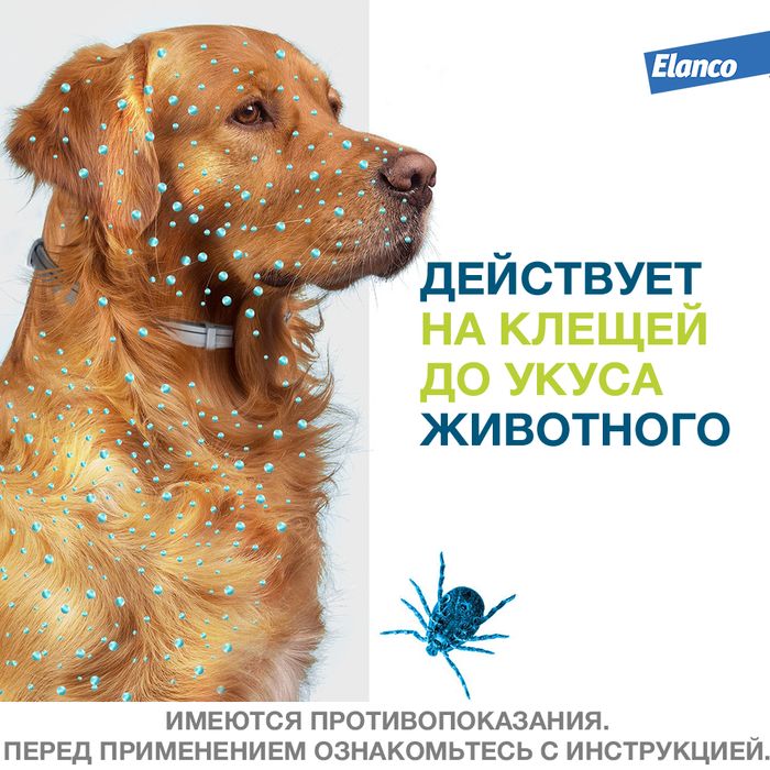 Elanco Форесто ошейник для щенков и собак более 8 кг, от клещей и блох