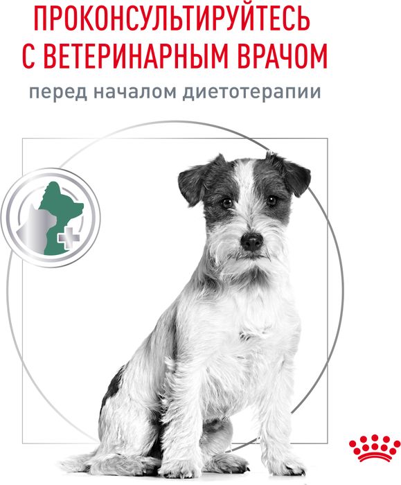 Royal Canin корм для взрослых собак малых пород, с избыточным весом