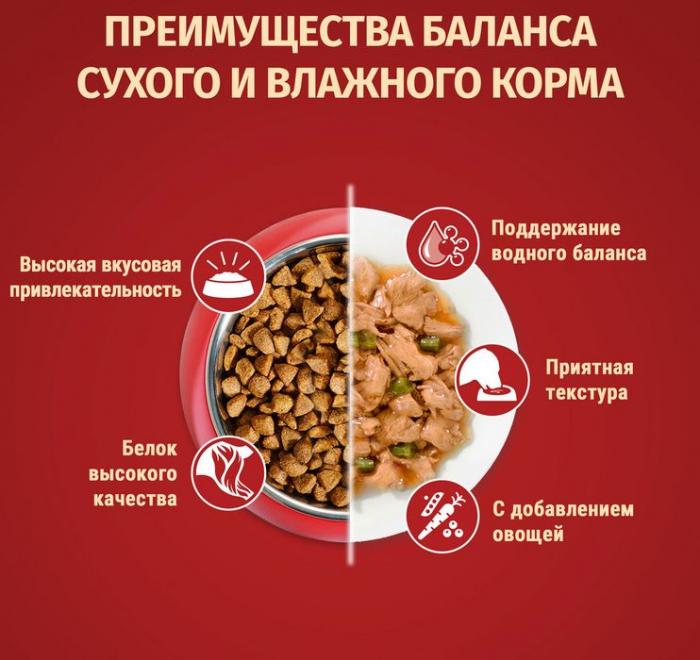 Сухой корм Purina ONE® МИНИ Здоровый вес для собак мелких пород, склонных к набору веса, с высоким содержанием индейки и с рисом