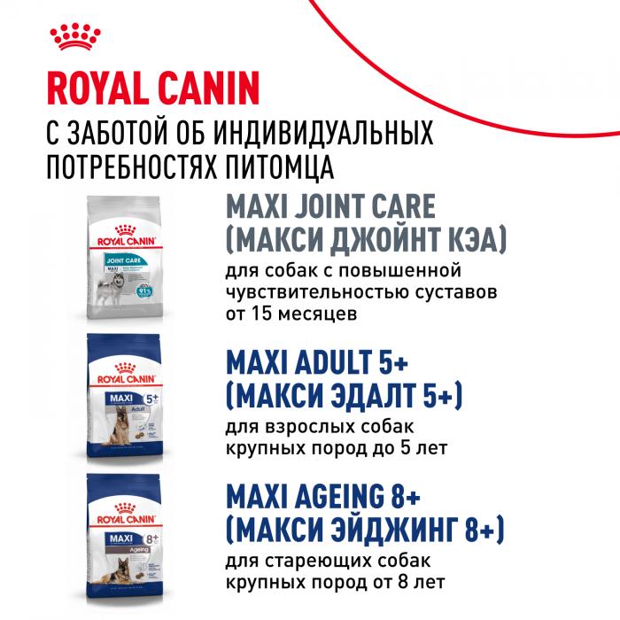 Royal Canin Maxi Adult сухой корм для собак крупных пород с 15 месяцев до 5 лет