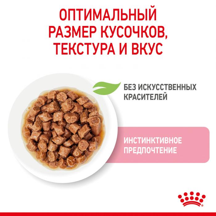 Royal Canin Kitten Instinctive влажный корм для котят от 4 до 12 месяцев в соусе