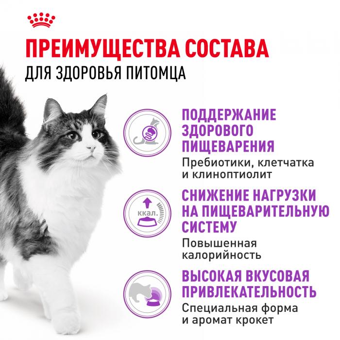Royal Canin Sensible корм для привередливых кошек