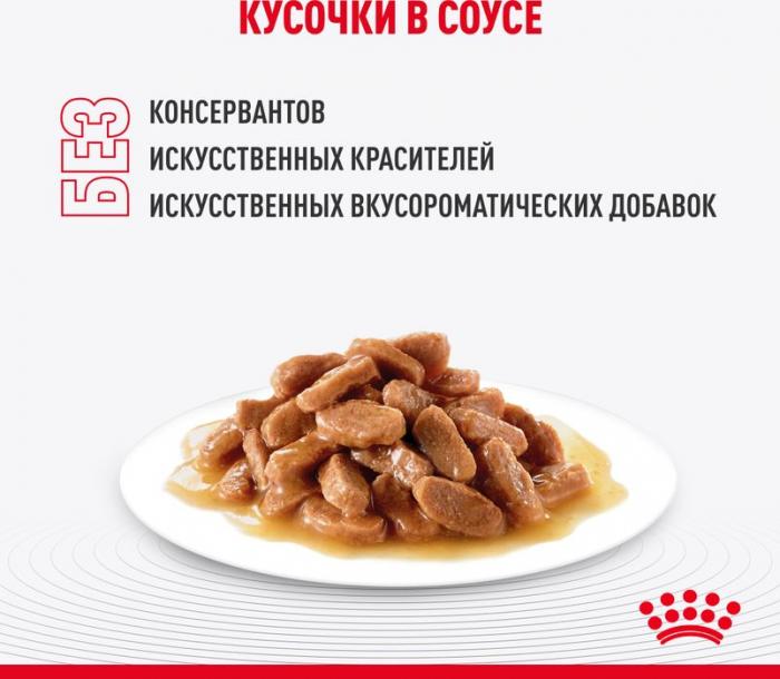 Royal Canin Light Weight Care влажный корм для кошек, при избыточном весе, в соусе
