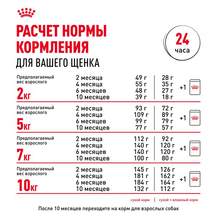 Royal Canin Mini Puppy влажный корм для щенков малых пород с 2 до 10 месяцев
