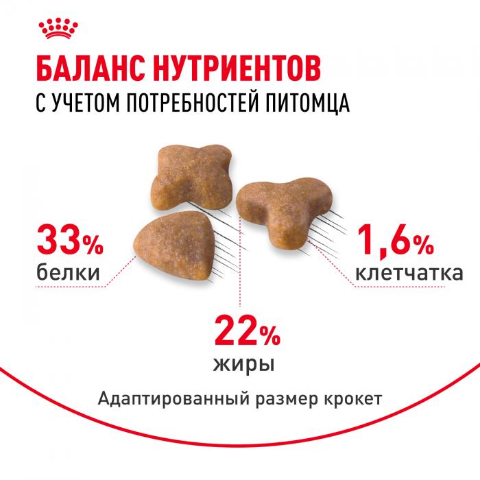 Royal Canin Sensible корм для привередливых кошек