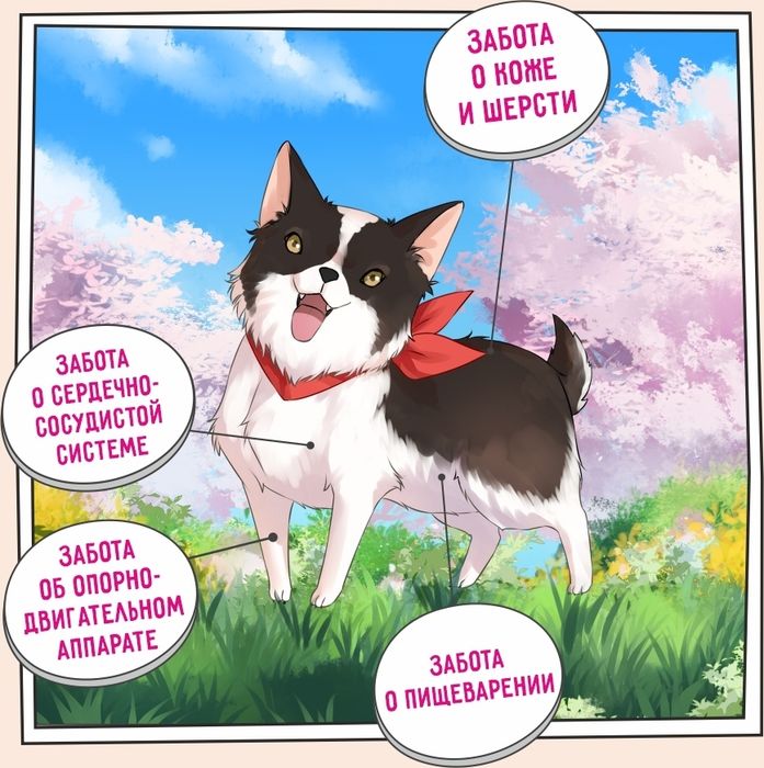 Zillii Adult Dog Small Breed корм для взрослых собак малых пород, индейка с уткой