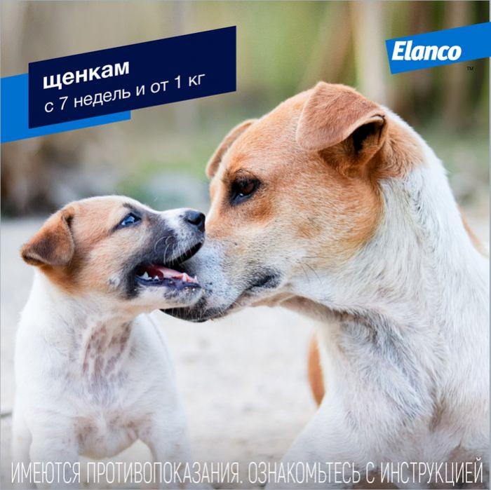 Elanco Адвокат капли для щенков и собак более 25 кг, от клещей, блох и гельминтов