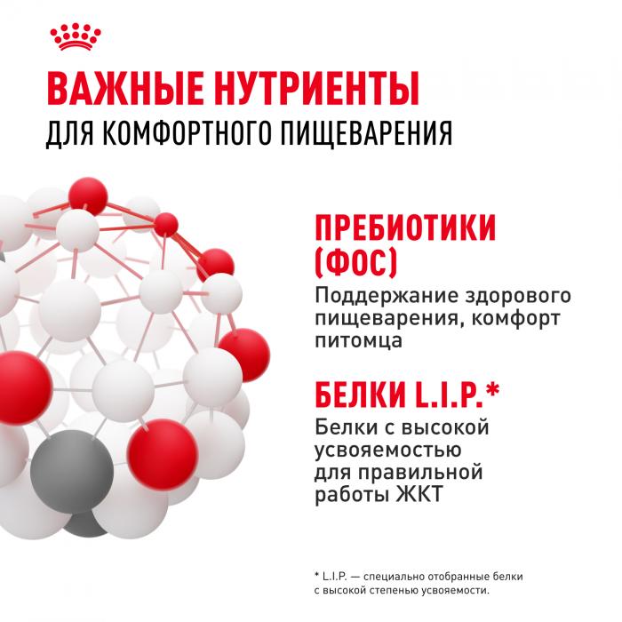 Royal Canin Sensible корм для привередливых кошек