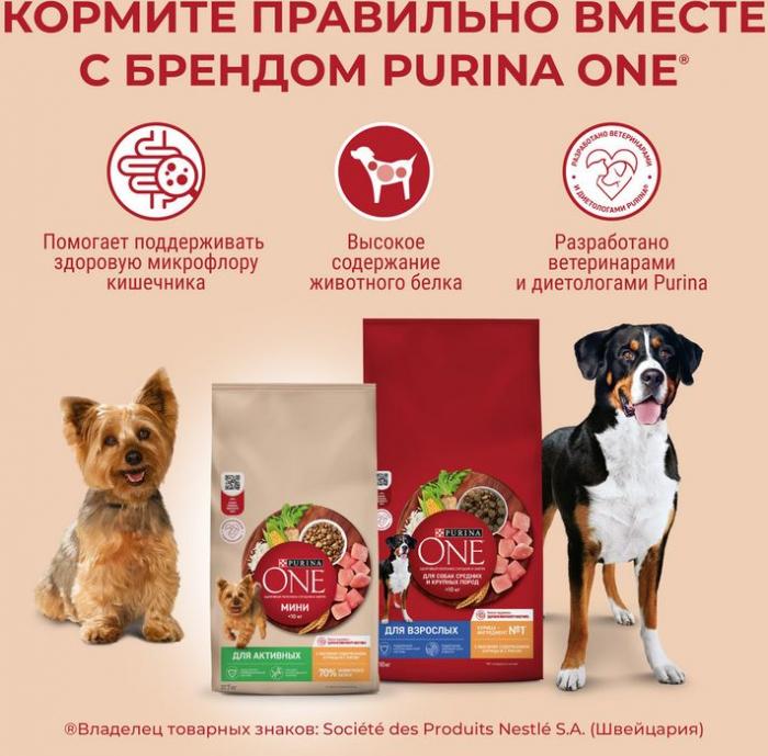 Сухой корм Purina ONE® МИНИ Здоровый вес для собак мелких пород, склонных к набору веса, с высоким содержанием индейки и с рисом