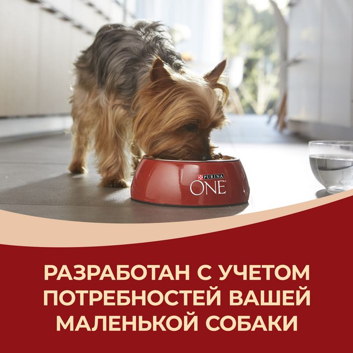 Сухой корм Purina ONE® для взрослых собак мелких и карликовых пород, с высоким содержанием говядины и с рисом