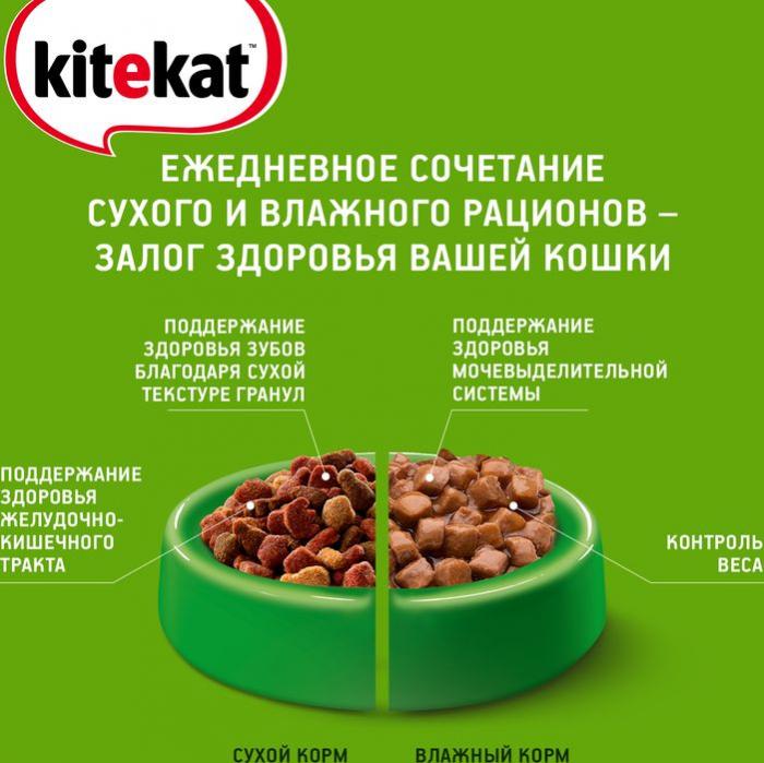 Kitekat корм для взрослых кошек, с аппетитной телятиной