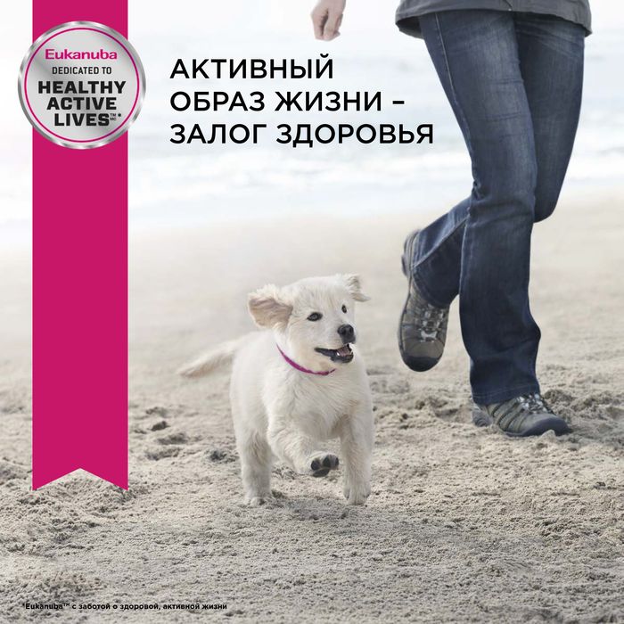 Eukanuba Puppy Small Breed сухой корм для щенков мелких пород с курицей