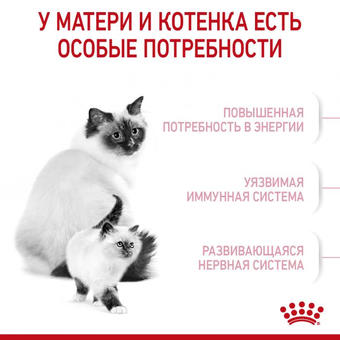 Royal Canin Kitten Mother&Baby cat сухой корм для котят и беременных кошек