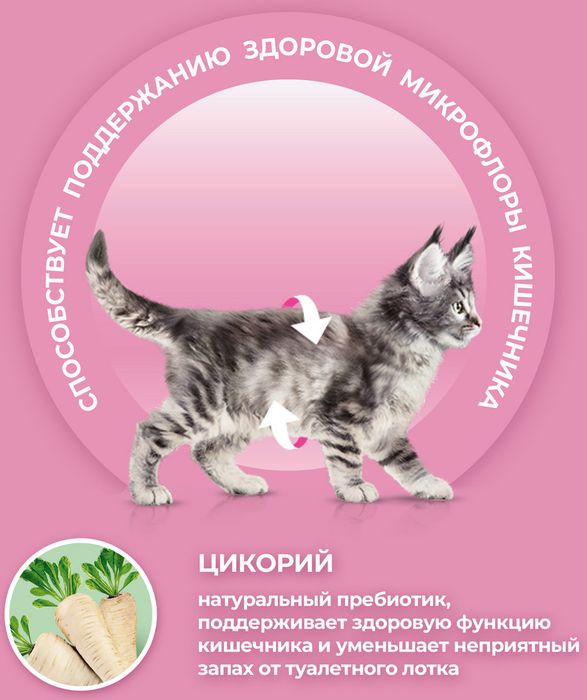 Сухой корм Purina ONE® полнорационный для котят, с высоким содержанием курицы