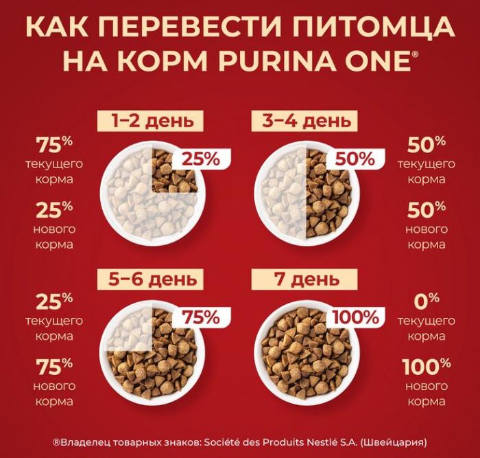 Сухой корм Purina ONE® для взрослых собак мелких и карликовых пород, с высоким содержанием говядины и с рисом